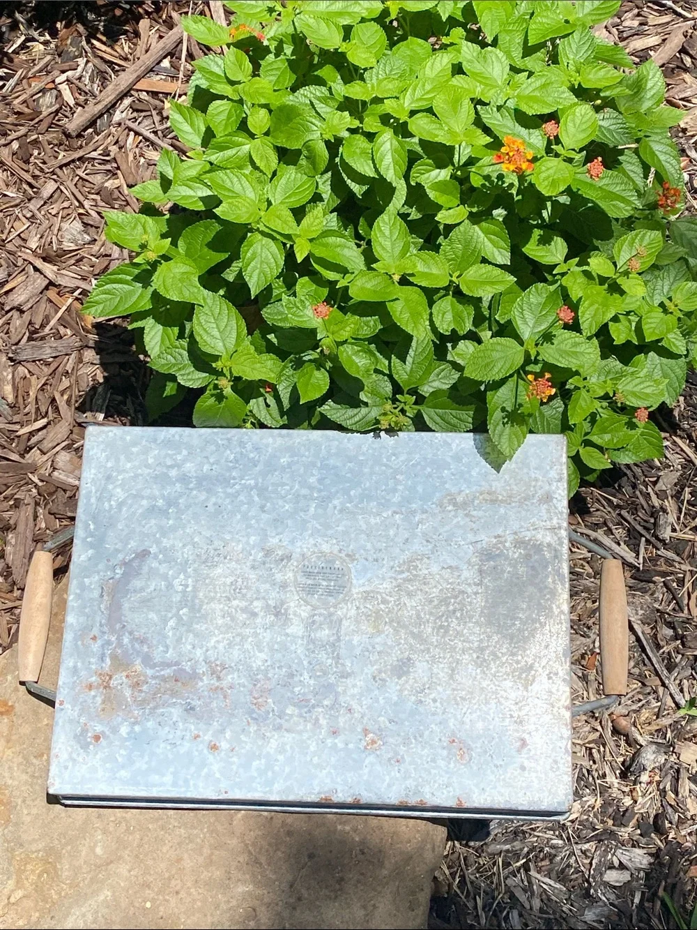 Pottery Barn Rustic Galvanized Metal Tray with Wood Handles